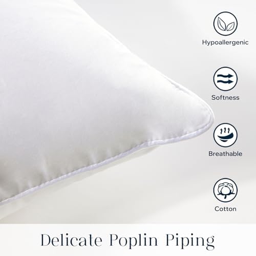 Phantoscope Throw Pillow Insert - Image 3