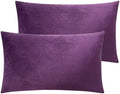 NTBAY Queen Velvet Pillowcases by NTBAY