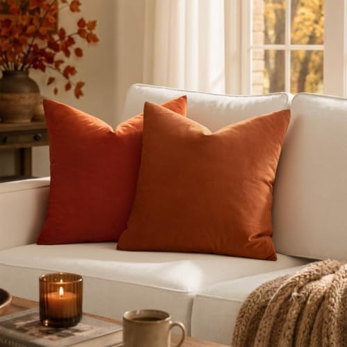 MIULEE 26x26 Inch Pack of 2 Euro Fall Velvet Pillow Covers Burnt Orange - Image 2