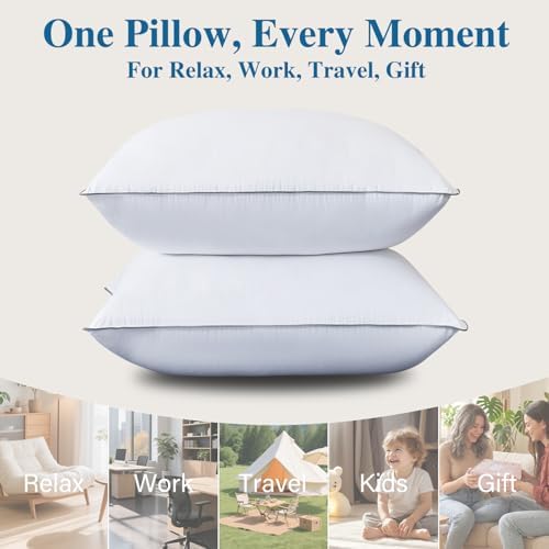 Goose Down Fiber Throw Pillow Insert Set of 2 - Image 6