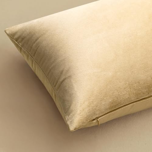 MIULEE 24x24 Inch Pack of 2 Euro Velvet Throw Pillow Covers Beige - Image 6