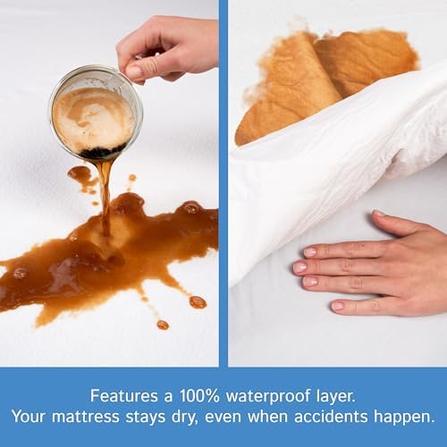 Futon Full Waterproof Mattress Protector - Image 3