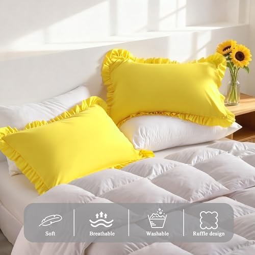 Ruffled Queen Pillow Shams, 2 Pack, 20x30 Inches - Image 4