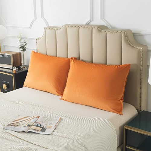 H HOUSEHOLD Set of 2 Velvet Queen Size Pillowcase, Soft and Cozy Luxury Fuzzy - Image 5