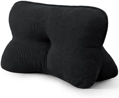 Lumbar Support Back Pillow for Office Chair by SCNUT