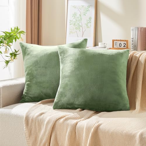 BEDELITE Velvet Pillow Covers - Image 2
