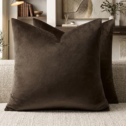 GIGIZAZA Brown Velvet Pillow Covers 20x20 Decorative Pillows Pack of 2 by GIGIZAZAFocusingonhomedecoration