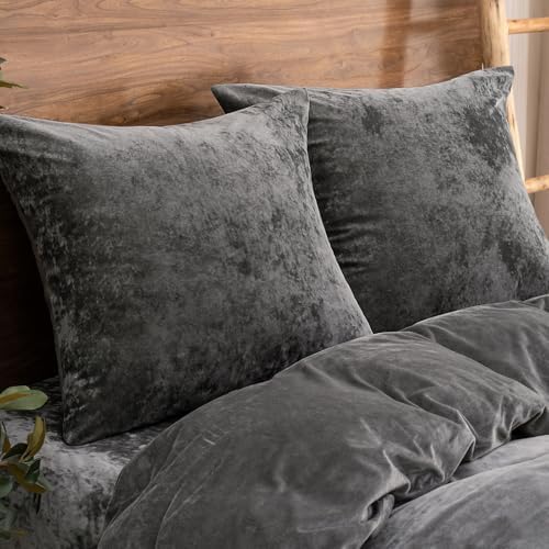 PHF Truly Velvet Throw Pillow Covers, No Insert, 2 Pack Color Gradient Cushion - Image 2