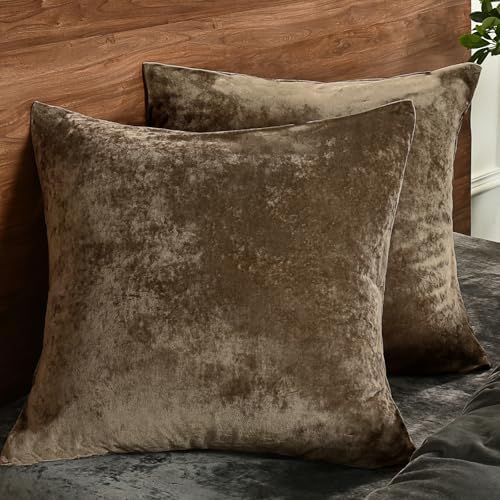 PHF Truly Velvet Throw Pillow Covers, No Insert, 2 Pack Color Gradient Cushion - Image 2