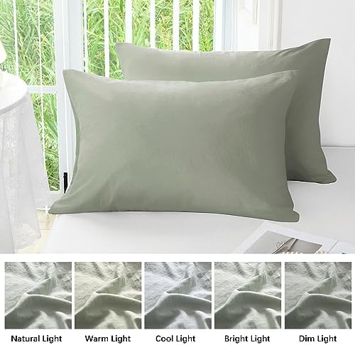 MILDLY King Pillowcases Mist Sage - Image 4