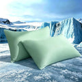 TELUS Cooling Pillowcases Queen Size 2-Pack, Silky Soft Breathable Pillow Case by TELUS