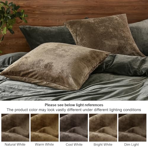 PHF Truly Velvet Throw Pillow Covers, No Insert, 2 Pack Color Gradient Cushion - Image 5