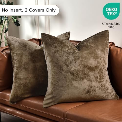 PHF Truly Velvet Throw Pillow Covers, No Insert, 2 Pack Color Gradient Cushion - Image 3