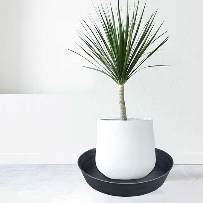 25 Inch Extra Large Plant Saucers, Extra-Deep 4.25 in Black Drip Trays - Image 7