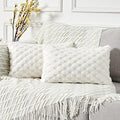 Yaertun Pack of 2 Super Soft Cozy Lumbar Decorative Throw Pillow Covers Fuzzy by YAERTUN