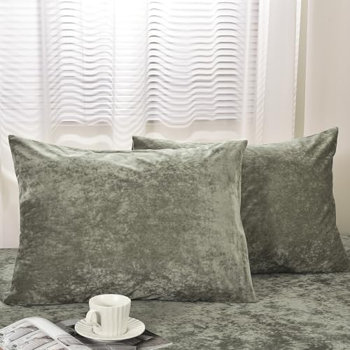 PHF Truly Velvet Pillowcases King Size 20" x 36", No Insert by PHF