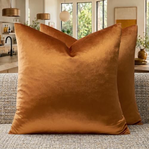 GIGIZAZA Orange Velvet Pillow Covers 18x18 Decorative Pillows Pack of 2 by GIGIZAZAFocusingonhomedecoration