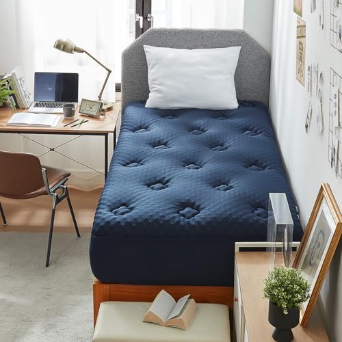 Hansleep Twin Memory Foam Mattress Topper, Soft Pillow Top Mattress Pad by Hansleep