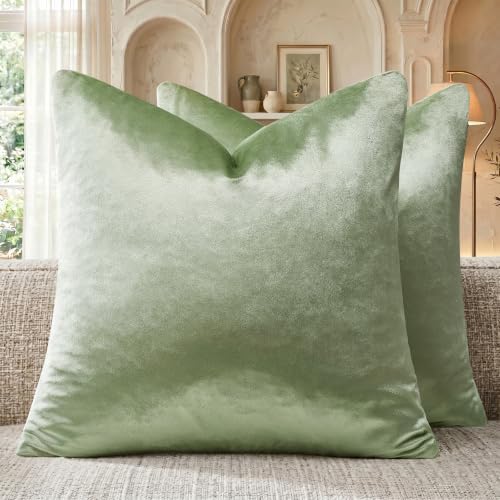 GIGIZAZA Sage Green Velvet Throw Pillow Covers 20x20 Pack of 2 by GIGIZAZAFocusingonhomedecoration