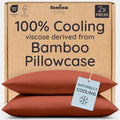 Bambaw 100% Viscose Derived from Bamboo Pillowcase Queen Size – Set of 2 Queen by Bambaw