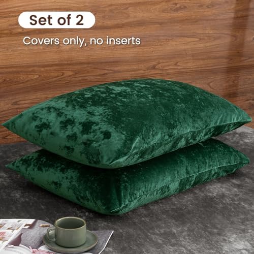 PHF Truly Velvet Pillowcases Standard 20" x 26", Emerald Green, No Insert - Image 4