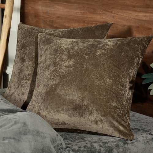 PHF Truly Velvet Throw Pillow Covers, No Insert, 2 Pack Color Gradient Cushion by PHF