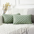 Yaertun Pack of 2 Super Soft Cozy Lumbar Decorative Throw Pillow Covers Fuzzy by YAERTUN
