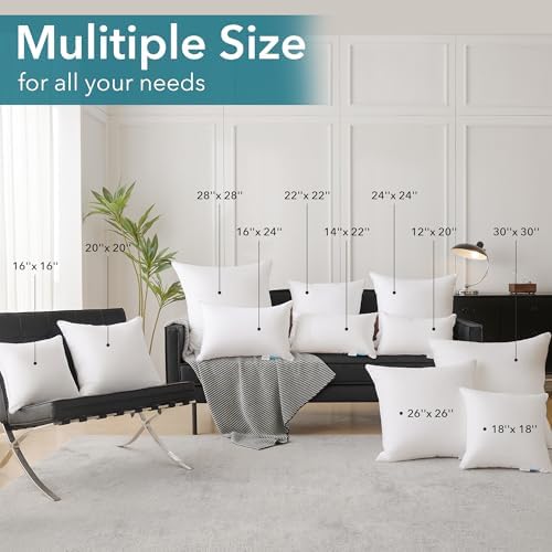 Oubonun 22"x22" Pillow Inserts - Image 6