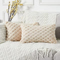 Yaertun Pack of 2 Super Soft Cozy Lumbar Decorative Throw Pillow Covers Fuzzy by YAERTUN