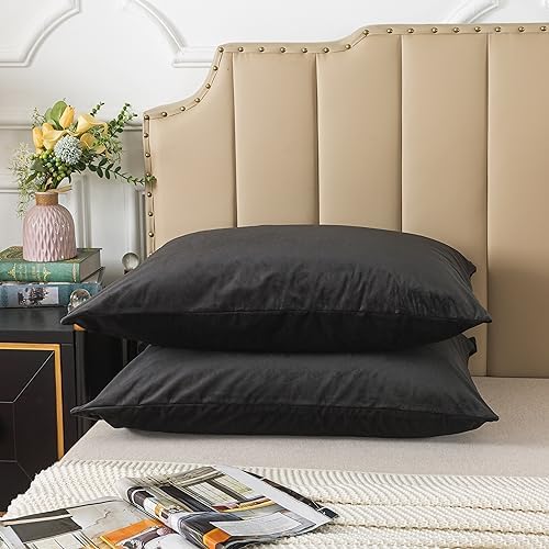 H HOUSEHOLD Set of 2 Velvet King Size Pillowcase, Soft and Cozy Luxury Fuzzy by HHOUSEHOLD