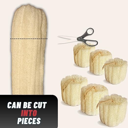Whole Egyptian Loofah100% Natural Organic Loofah Exfoliating Scrubber - Image 3