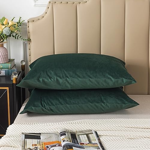 H HOUSEHOLD Set of 2 Velvet King Size Pillowcase, Soft and Cozy Luxury Fuzzy by HHOUSEHOLD