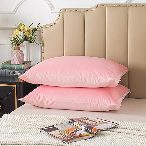 H HOUSEHOLD Set of 2 Velvet King Size Pillowcase, Soft and Cozy Luxury Fuzzy by HHOUSEHOLD