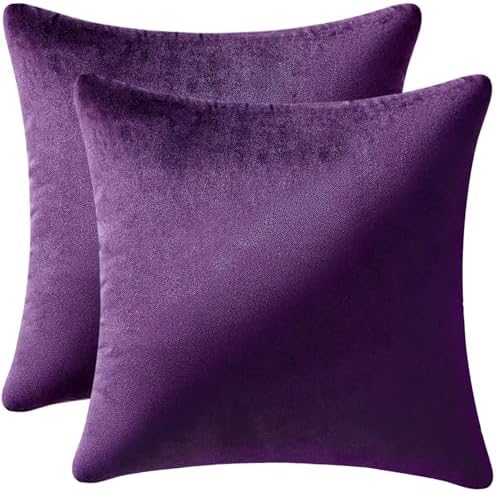 MIULEE 26x26 Inch Pack of 2 Euro Velvet Throw Pillow Covers Eggplant Purple by MIULEE