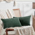Fancy Homi Set of 2 Dark Green Lumbar Decorative Throw Pillow Covers 20x28 Inch by Fancy+Homi