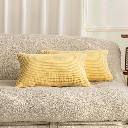 Home Brilliant Set of 2 12x20 Summer Pillow Covers Oblong Corduroy Rectangle by HomeBrilliant