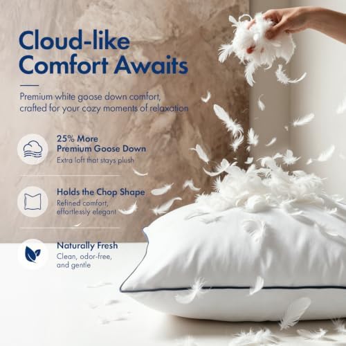 MIULEE Goose Feather Down 26x26 Euro Pillow Insert Set of 2 - Image 2