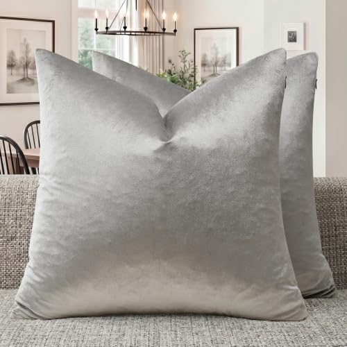 GIGIZAZA Silver Grey Velvet Throw Pillow Covers 16x16 Pack of 2 by GIGIZAZAFocusingonhomedecoration