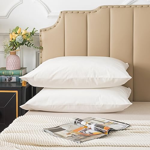 H HOUSEHOLD Set of 2 Velvet King Size Pillowcase, Soft and Cozy Luxury Fuzzy by HHOUSEHOLD