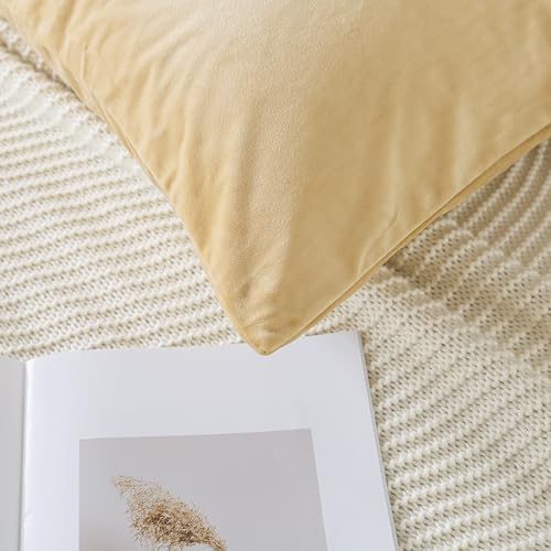 H HOUSEHOLD Set of 2 Velvet King Size Pillowcase, Soft and Cozy Luxury Fuzzy - Image 3