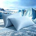 TELUS Cooling Pillowcases Queen Size 2-Pack, Silky Soft Breathable Pillow Case by TELUS