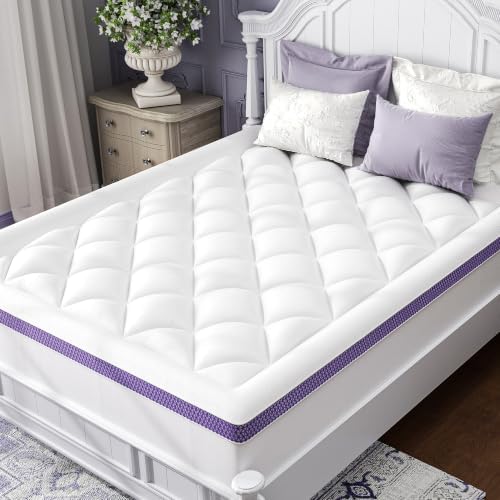 ChiXpace Queen Mattress Topper, Viscose Derived from Bamboo, Pillow Top by ChiXpace