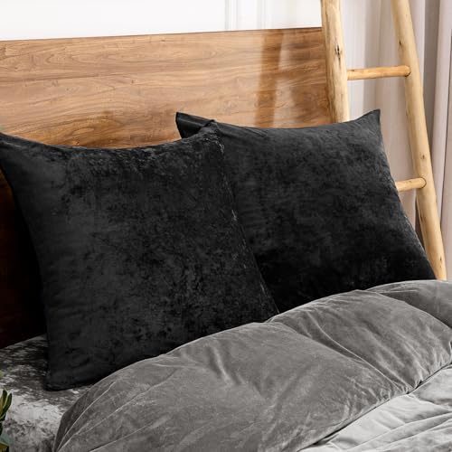 PHF Truly Velvet Euro Shams 26" x 26", No Insert, 2 Pack - Image 2