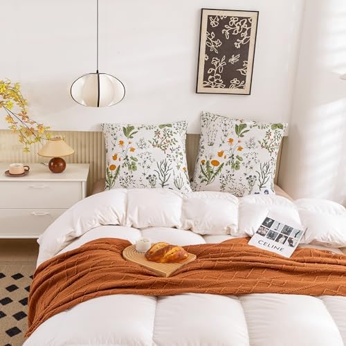 ECOCOTT 2 Pack Pillowcase Euro Size - Image 5