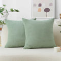 Home Brilliant Sage Green Throw Pillow Covers Couch Pillow Covers Set of 2 by HomeBrilliant
