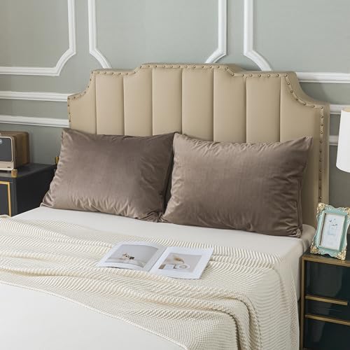 H HOUSEHOLD Set of 2 Velvet Queen Size Pillowcase, Soft and Cozy Luxury Fuzzy by HHOUSEHOLD