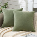 GAWAMAY Decorative Throw Pillow Covers 16x16 Inch Set of 2, Super Soft Chenille by GAWAMAY
