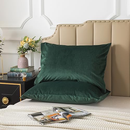 H HOUSEHOLD Set of 2 Velvet Queen Size Pillowcase, Soft and Cozy Luxury Fuzzy - Image 3