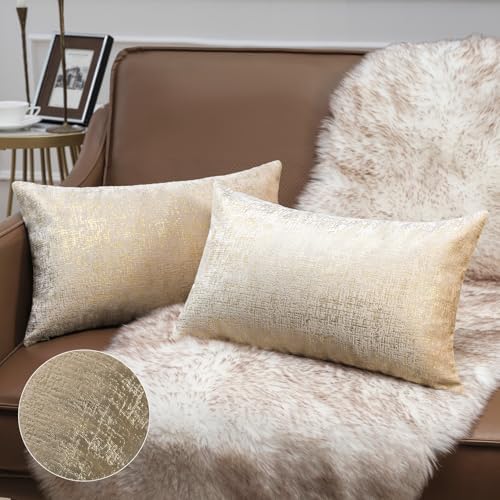 Phantoscope Pack of 2 Sparkling Velvet Decorative Solid Throw Decorative Pillow by Phantoscope