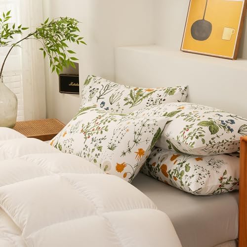 ECOCOTT 4 Pack Pillowcase Queen Size - Image 6